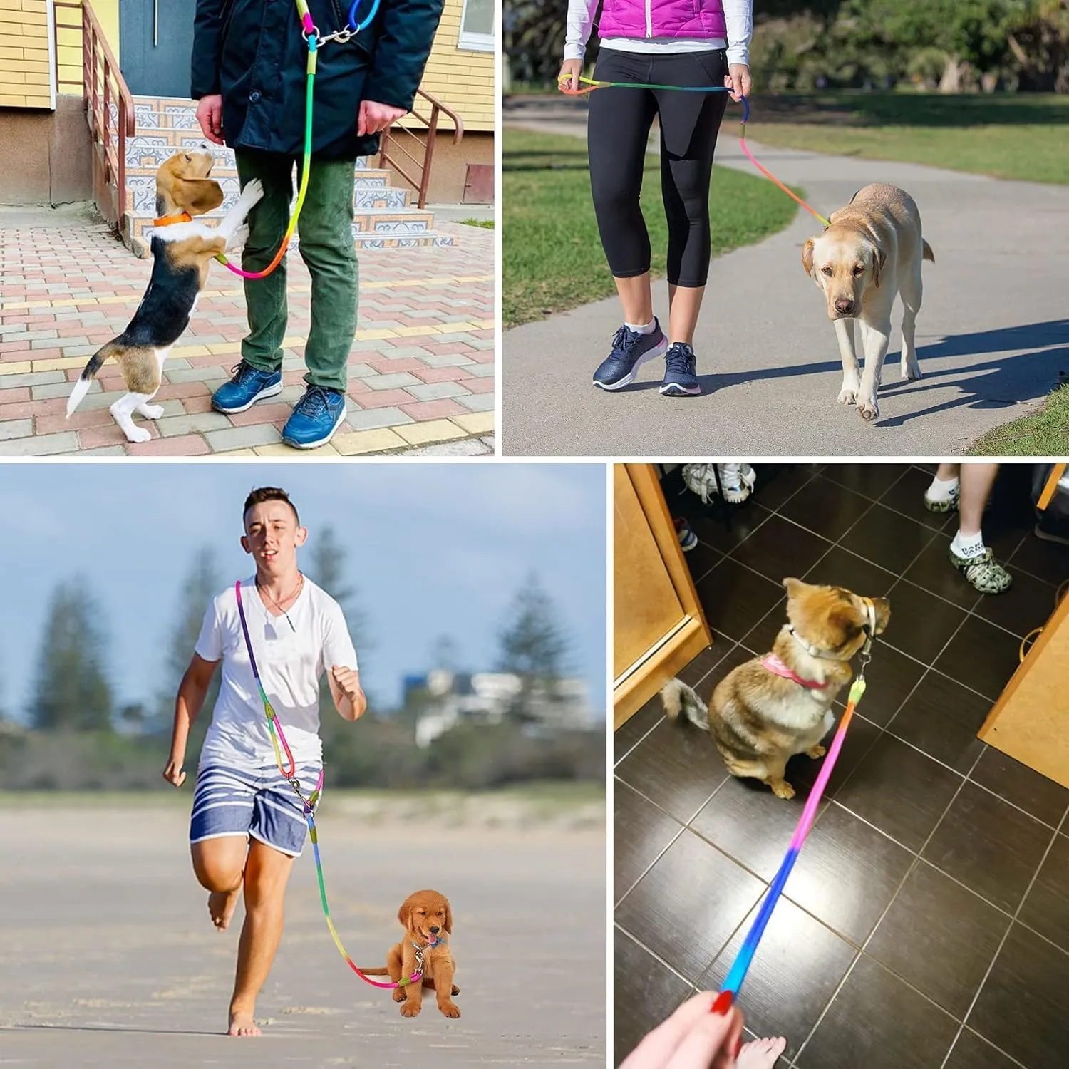 Hands Free Dog Leash 8.5ft Waist Leash for Dog Walking Jogging and Running